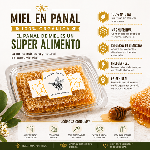 Panal de miel 500g, orgánico, 100% artesanal
